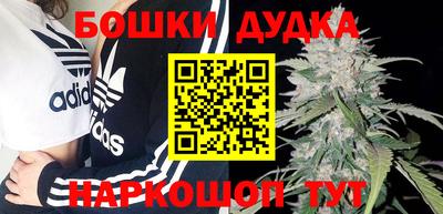 молекула духа Бийск