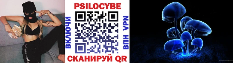 Псилоцибиновые грибы Cubensis  Темрюк 